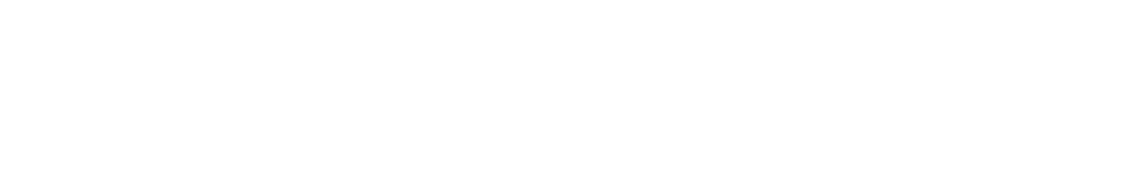AVS FUTURA BLANC SANS TAGLINE
